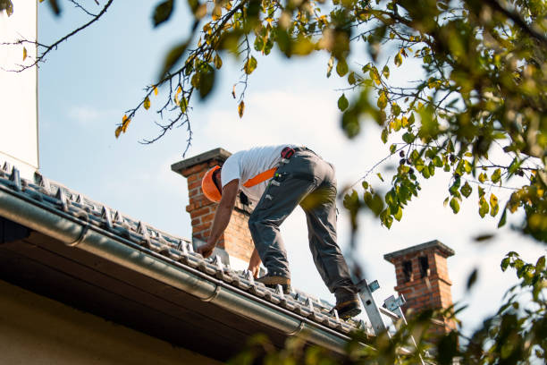Best Commercial Roofing Services  in Lewiston, UT