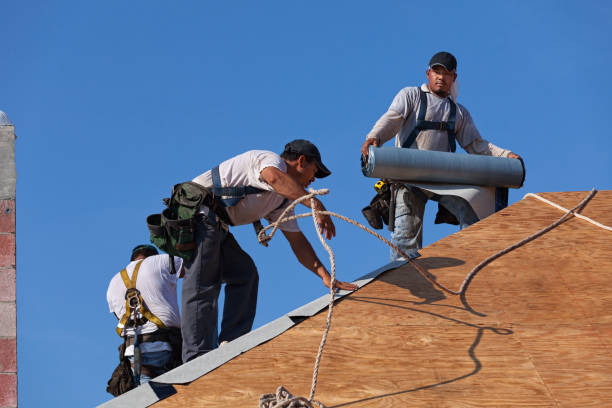 Roof Waterproofing Services in Lewiston, UT